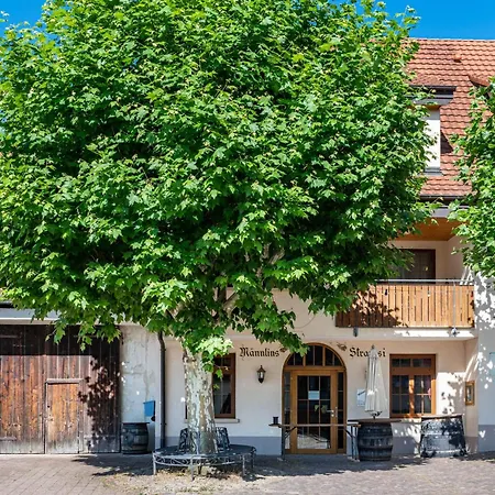 Apartamento Haus Maennlin