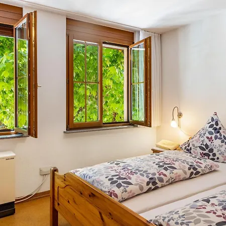 Apartamento Haus Maennlin *